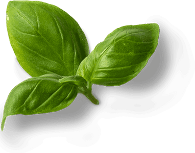 Uncle Tomy's Original Pizza