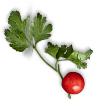 Uncle Tomy's Original Pizza