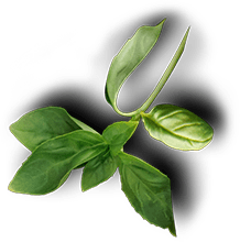 Uncle Tomy's Original Pizza